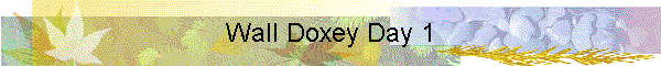 Wall Doxey Day 1