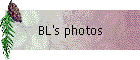 BL's photos