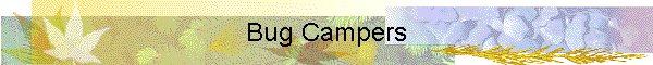 Bug Campers