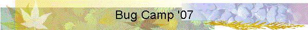Bug Camp '07